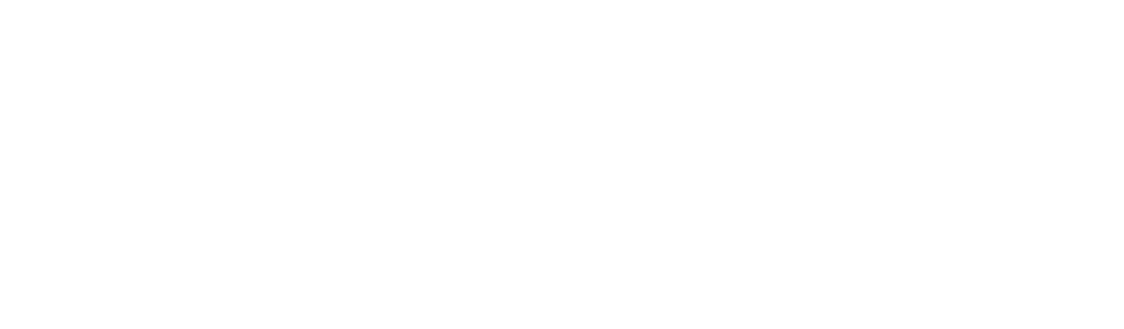 Agência Rauzi